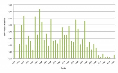 Evolution du taux d'oiseaux mazouté