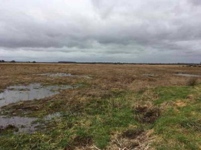 IMG_0241.jpg (27.55 Kio) Vu 18512 fois mare acquise ce jour