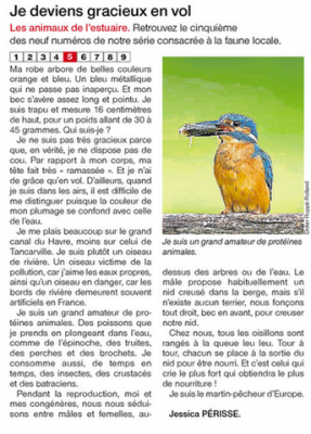 LeHavre76OF 2017-02-17.png (249.11 Kio) Vu 6406 fois Ouest-France numérique 17_02_2017