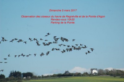 affichette2.jpg