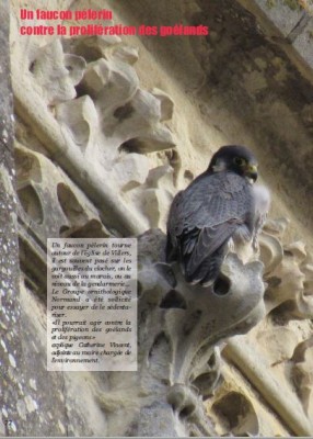 Villers14bulletinmuni.JPG (57.31 Kio) Vu 6432 fois Une page de la Lettre de Villers/14.