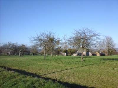 territoire chevêche.jpg (126.51 Kio) Vu 5927 fois Verger où la chouette chevêche a été entendue.