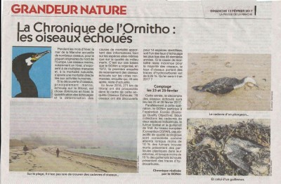 échoués PDLM2017 - Copie (2).jpg (169.37 Kio) Vu 6375 fois Presse de la Manche 12 février 2017