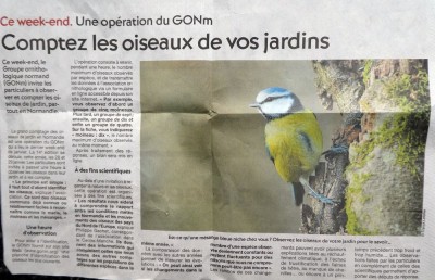 GCOJ Presse de la Manche 28 janvier 2017