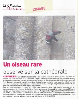 Coutances50CM28022017.jpg (165.4 Kio) Vu 6964 fois Côté Manche du 28 février 2017