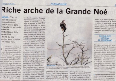 pygargue27PN - Copie.JPG (145.69 Kio) Vu 5558 fois Paris-Normandie 5 mars 2017