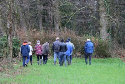 Un atout pour l'avifaune de la ferme : ses haies sont connectées au bois du château. Il y a fort à parier que tous les passereaux circulent en mettant en application le principe de la trame verte!