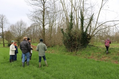 Un premier frêne têtard bas sur talus : les bourgeons à fleur qui commencent à ouvrir intriguent Marie... Même sans le lierre, le diamètre est déjà impressionnant!