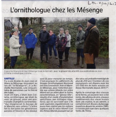 tetardsRochelle50OF.jpg (223.88 Kio) Vu 8935 fois Les frênes têtards dans la Manche Libre le 1/04/2017