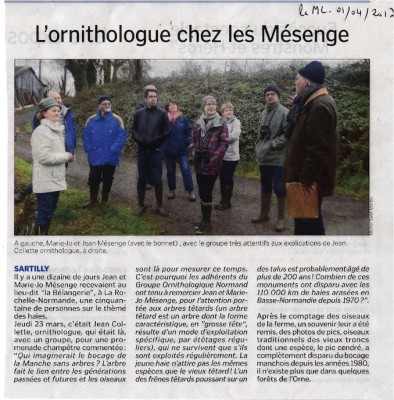 Les frênes têtards dans la Manche Libre le 1/04/2017