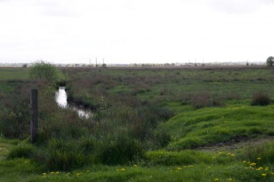 vue de la parcelle acquise