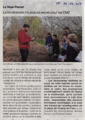 Un des ateliers dans la zone plantée. Et l'orvet en prime...