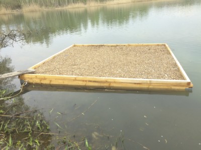 IMG_0164.jpg (149.22 Kio) Vu 17594 fois radeau du lycée horticole avec le gravier