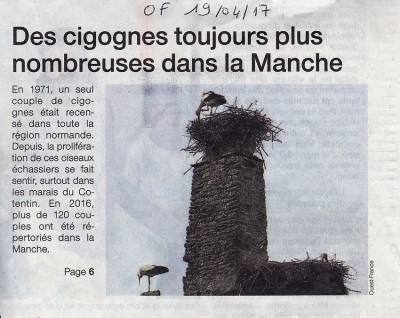 cigognechapeauOF18042017 Copie.jpg (170.95 Kio) Vu 10742 fois Un seul mot suffit. Ouest-France 19_04_2017