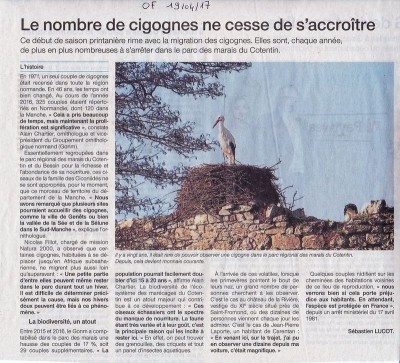cigogneOF18042017 Copie.jpg (215.54 Kio) Vu 10742 fois Ouf! on est rassurés. OF19_04_2017