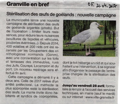 Granvillegoel21042017.jpg (243 Kio) Vu 10720 fois Ouest-France 21_04_2017