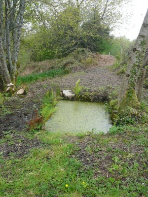 le lavoir remis en état par Philippe cette année