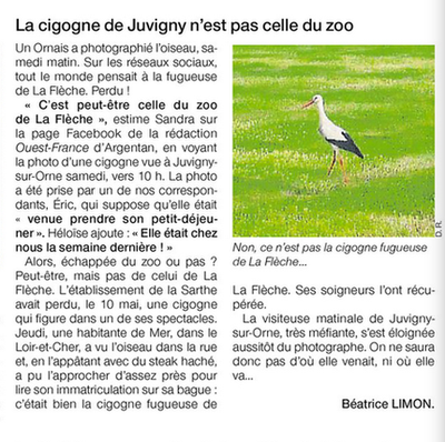 Cigogne Ouest-France