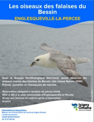 affiche oiseaux des falaises2017.JPG (39.98 Kio) Vu 95200 fois Affiche animation Englesqueville La Percée