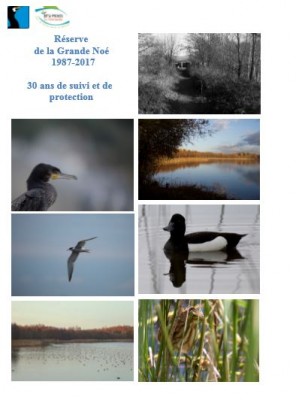 AnnivGNoe2707052017.JPG (37.12 Kio) Vu 14717 fois Affiche pour l'anniversaire de la Grande Noé