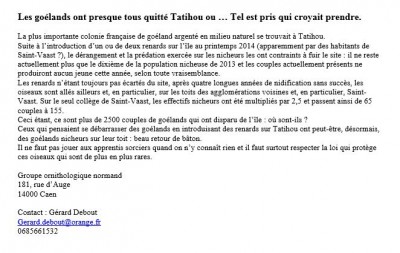 Communiqué de presse goélands de Tatihou