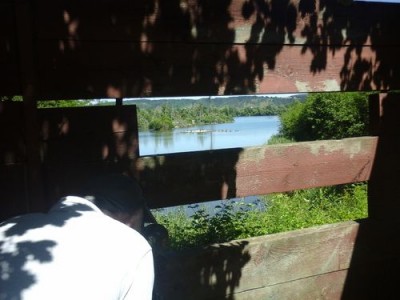 20170610_151047.jpg (46.16 Kio) Vu 10490 fois Vue d'un observatoire sur la colonie de grand cormoran