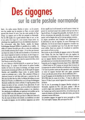 Côte fleurie magazine cigognes texte dim.jpg (119.29 Kio) Vu 10301 fois Magazine "Côte fleurie"