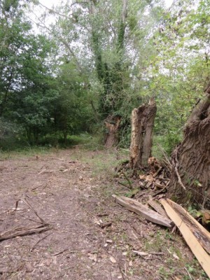 Travaux de réouverture préalables à la pose de la clôture