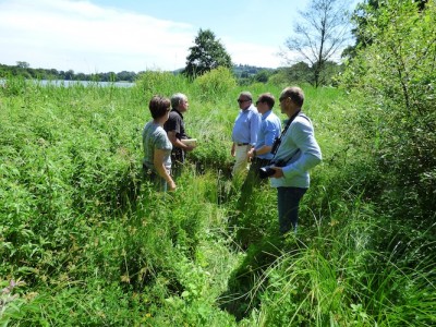 Visite de la réserve de la Dathée par le maire de Vire Marc Andreu Sabater et le directeur des services sous la conduite de  Stéphane Lecocq accompagné de Sylvain Hamel, Josette Gautreau et JCo<br />5 juillet 2017<br />Photo JCo