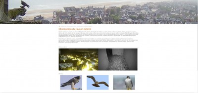 villers14pelerin.JPG (116.76 Kio) Vu 28461 fois Vue d'ensemble.