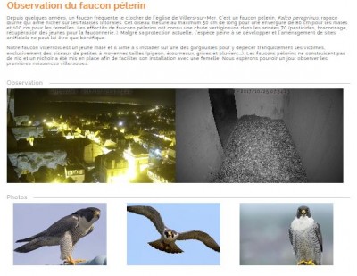 villerspélerin22017.JPG (57.39 Kio) Vu 28461 fois Texte et illustrations.