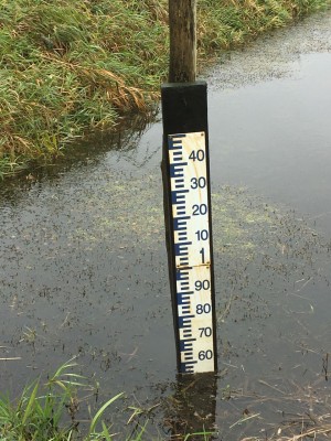 IMG_1074.jpg (255.63 Kio) Vu 13810 fois le niveau de l'eau monte !