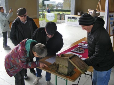 Marie montre le bourdon rescapé du nid estival installé dans la mousse du nichoir (dont les mésanges charbonnières avaient eu maille à partir avec le pic épeiche...