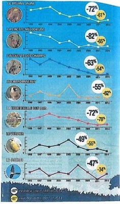 Voix du Nord 5 décembre 2017