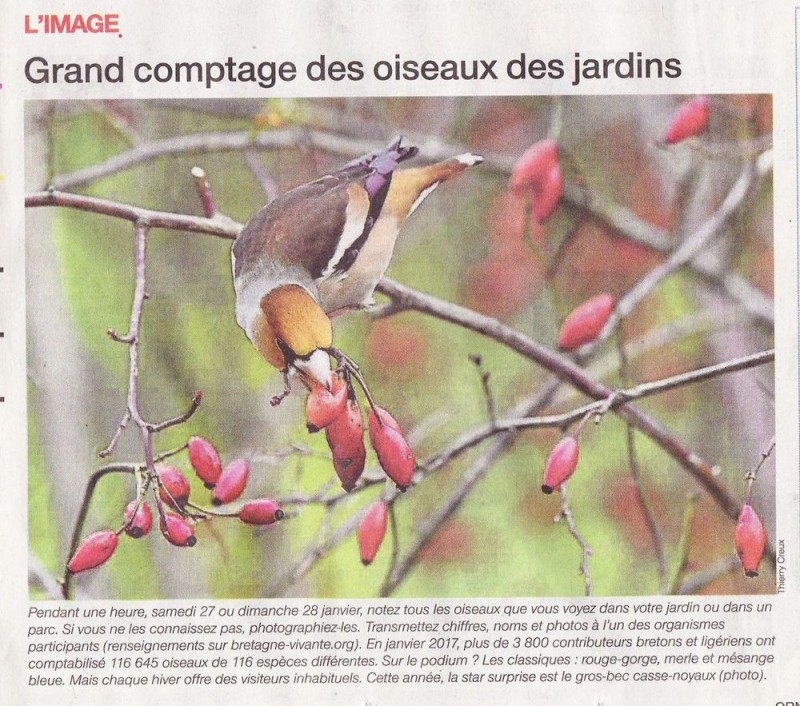 SCN_0061.jpg (219.46 Kio) Vu 9619 fois GCOJ Ouest-France 22_01_2018