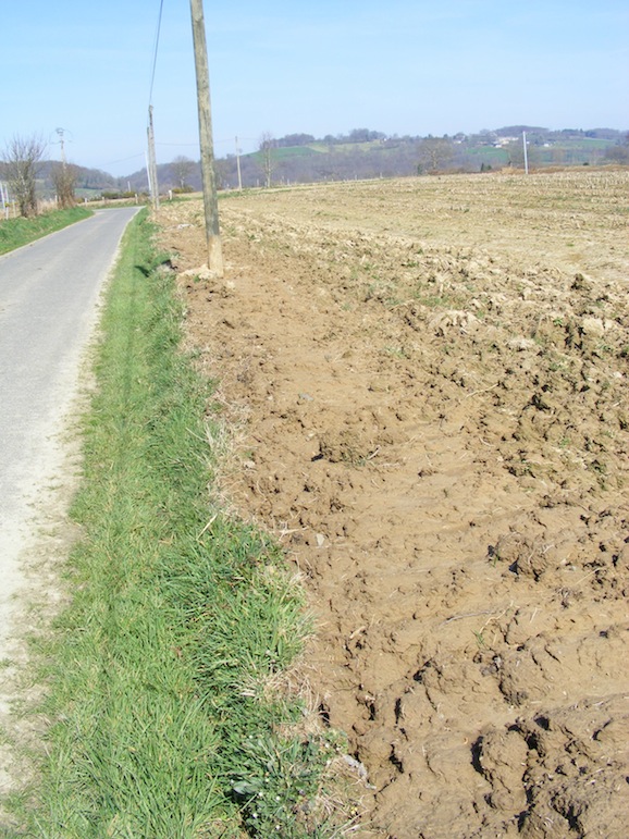 Labour de bord de route.JPG