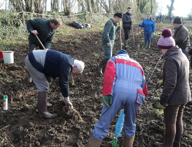 Une partie du groupe au travail : à gauche, Thierry Grandguillot et Jean,-François Gaillard; au centre, Yves Lasquellec; à droite, Laure Mamhoudi