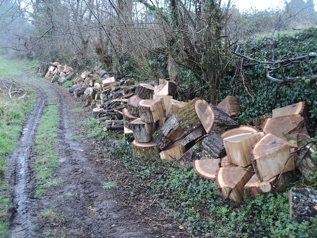 75 ans de bois au sol