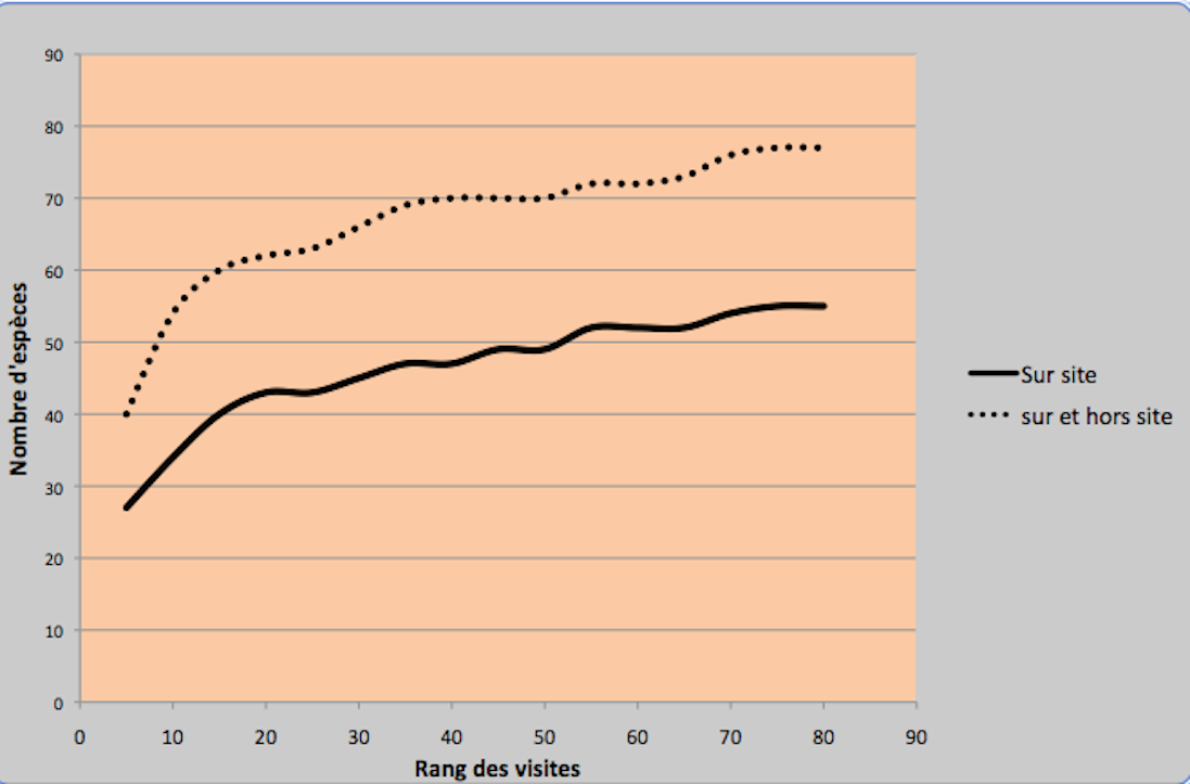 Evolution du nombre d'espèces observées sur le refuge.png