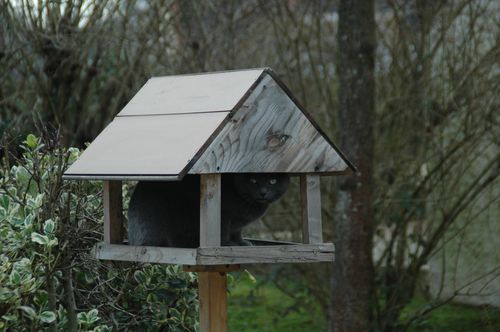 Erreur de distribution!