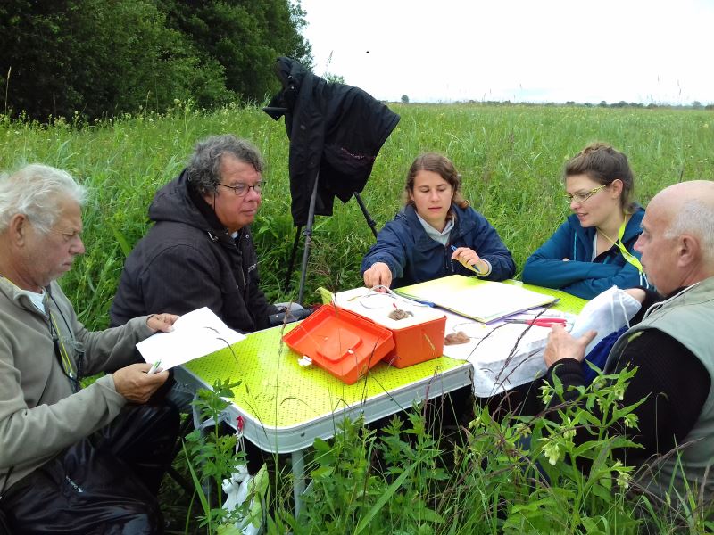 la table des bagueurs