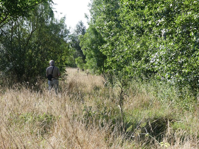 Gestion différenciée : la prairie entre l'arboretum et la rivière est en place pour tout l'été (Photo Philippe Gachet)