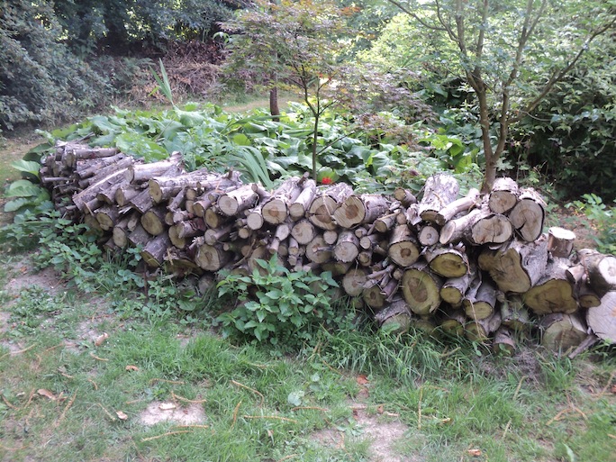 Il n'y a pas que les murs de pierre : bien rangés, les morceaux de bois débités de la branche morte font aussi l'affaire.