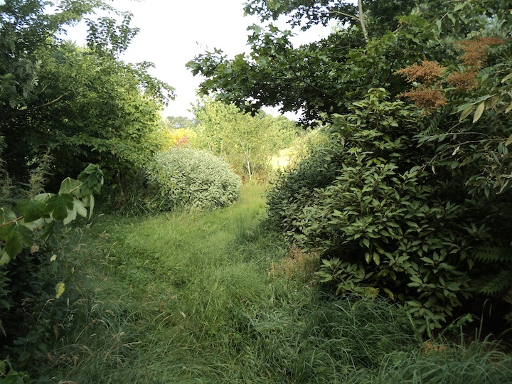 La fauvette des jardins est aussi en location estivale ici!