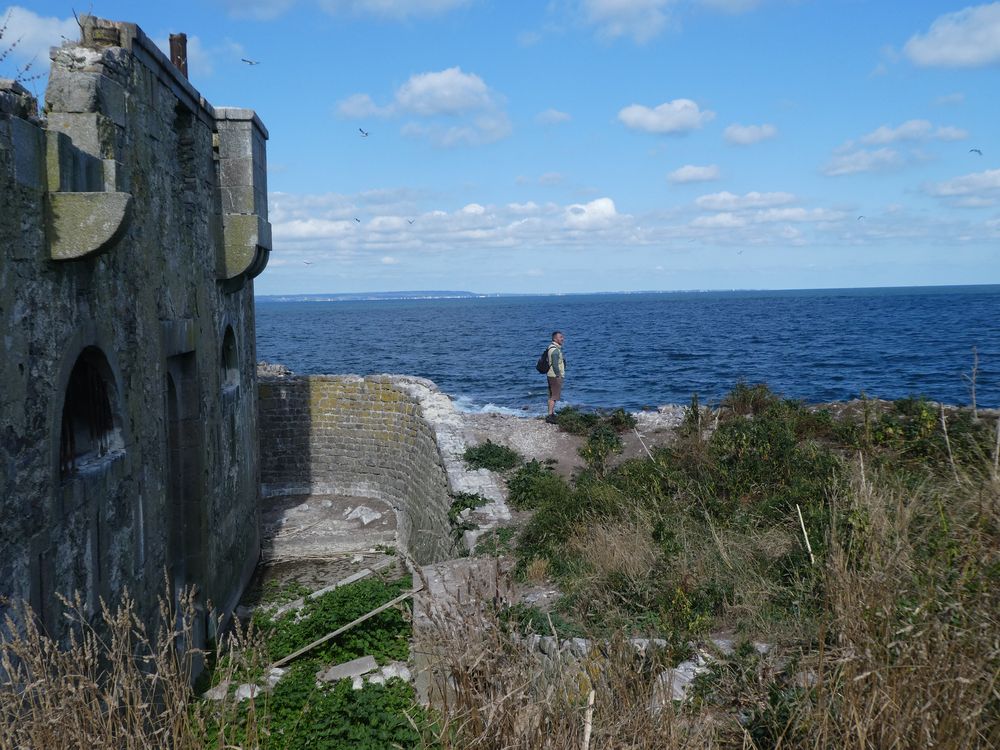 Le fort à gauche avec son entrée périlleuse, parfois. Les cormorans huppés nichent au printemps dans les casemates de ce fort.