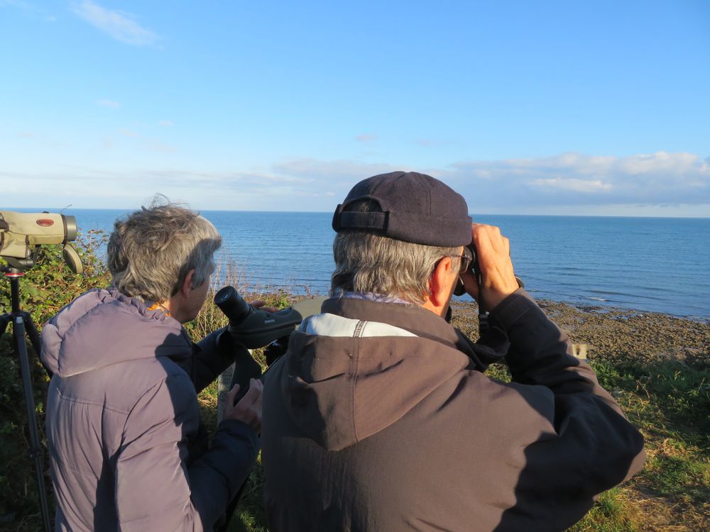 Des falaises, la vue est large et permet de suivre les oiseaux longtemps.