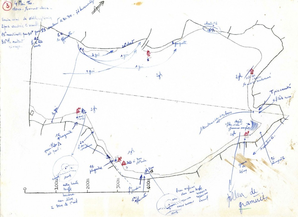 3.jpg (234.52 Kio) Vu 10187 fois relevé de terrain; au moins deux chanteurs différents de pics cendrés