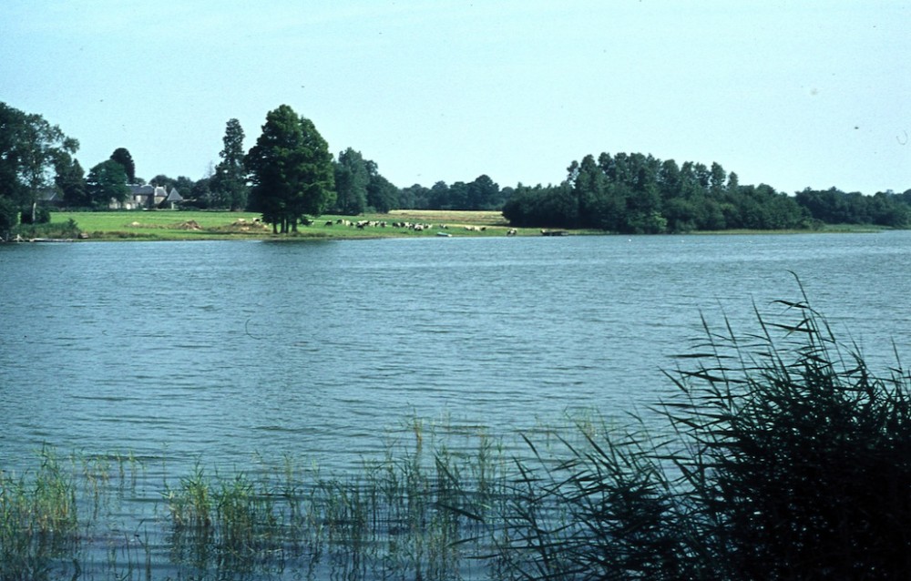 L'étang vu de la route de la bonde, vers le château des Louvellières. Nous avons toujours été bien accueillis par les propriétaires M. et Mme Achard de la Vente à qui nous fournissions régulièrement des CR d'observations.