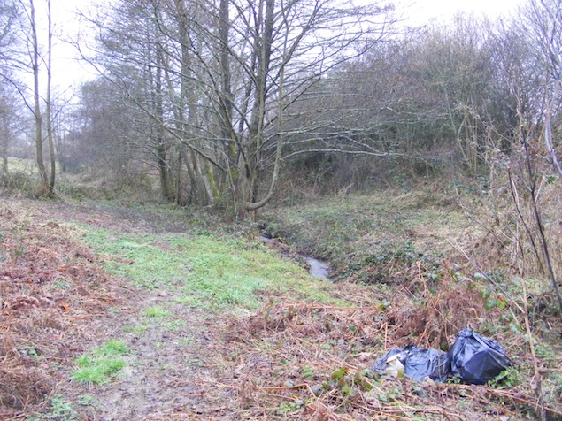 dépôt sauvage de sacs de déchets ménagers.JPG