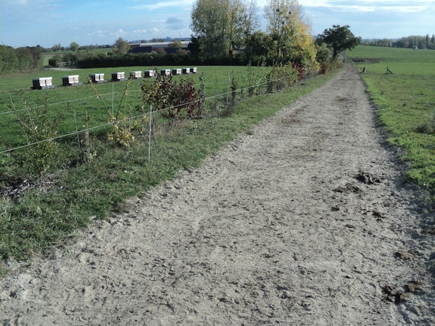 Un tronçon de replantation et en arrière les premières ruches du projet.